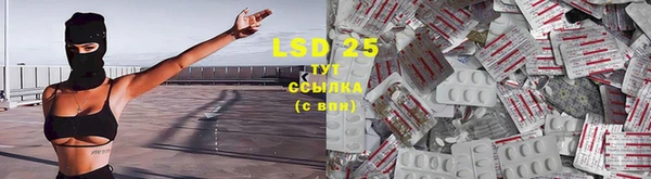 гашик Няндома