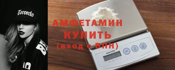 гашик Няндома