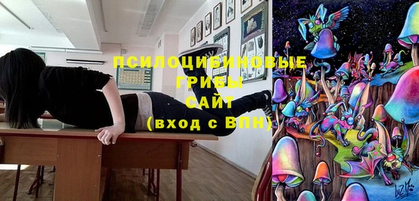 гашик Нягань