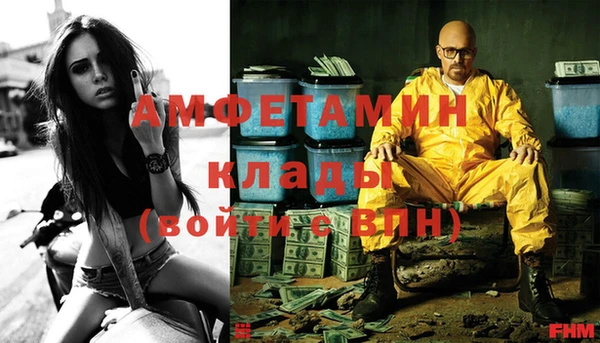 гашик Няндома