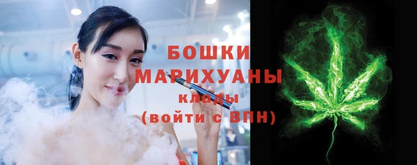 гашик Няндома