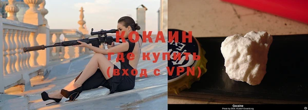 гашик Няндома