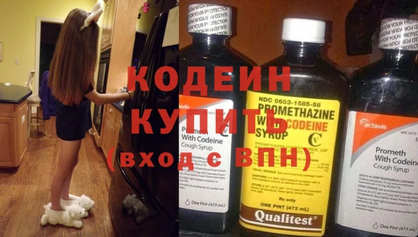 гашик Няндома