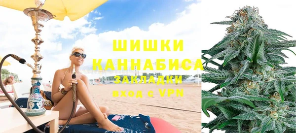 гашик Няндома