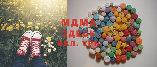 гашик Няндома