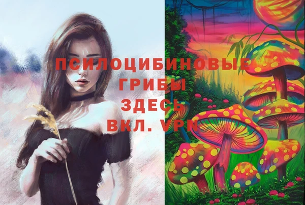 гашик Няндома