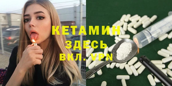 гашик Няндома