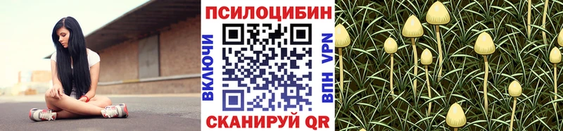 Галлюциногенные грибы ЛСД  Тбилисская 